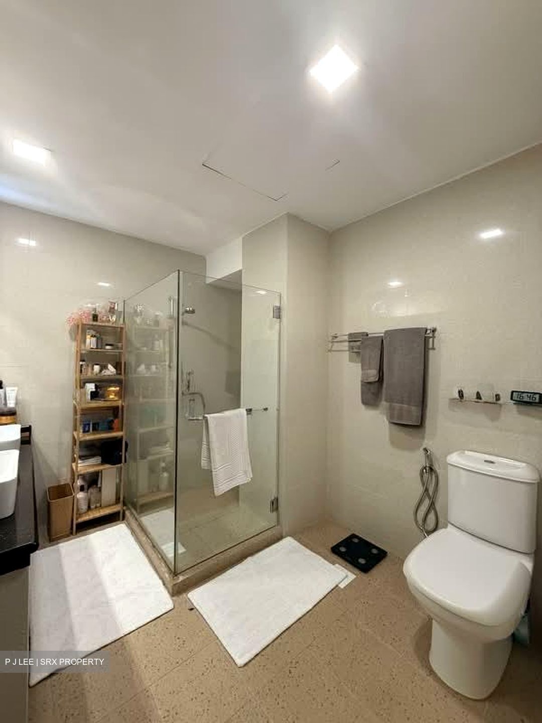 Island View (D5), Condominium #554332631